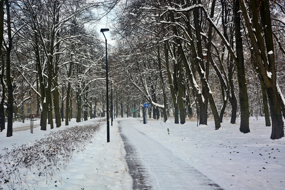 Akcja Zima w praktyce 44