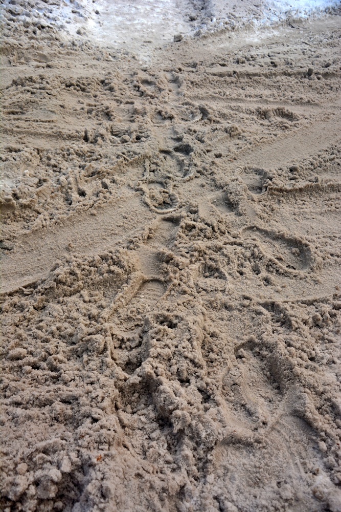 Akcja Zima w praktyce 47