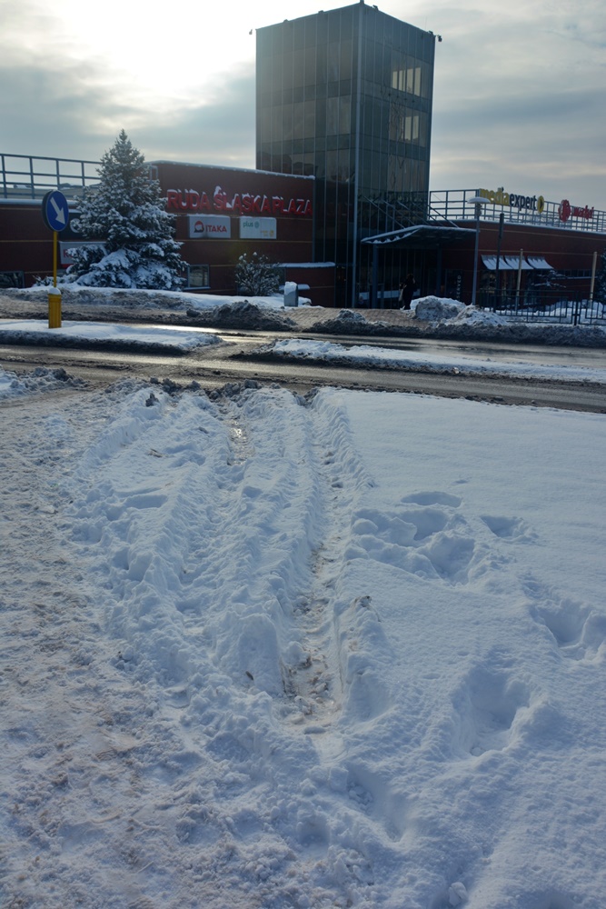 Akcja Zima w praktyce 99