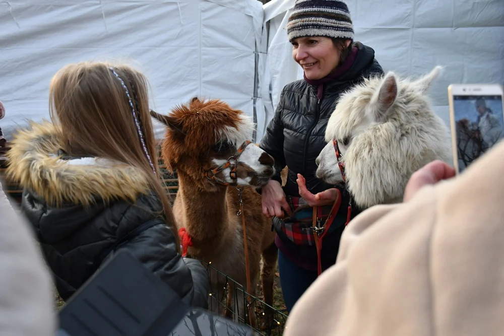 Świąteczne Kochłowice 2.0 14