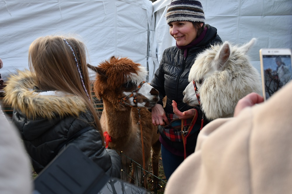 Świąteczne Kochłowice 2.0 14