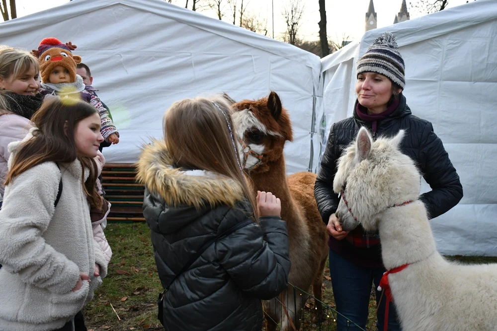 Świąteczne Kochłowice 2.0 15