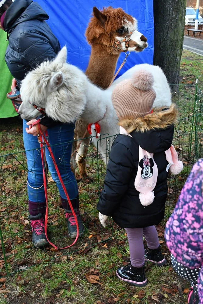 Świąteczne Kochłowice 2.0 22