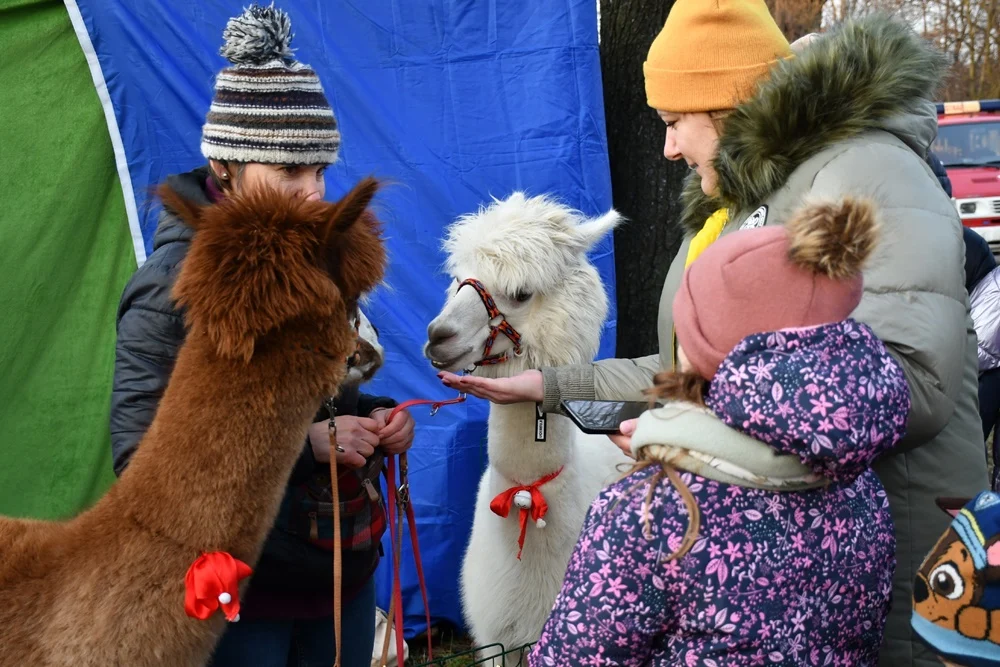 Świąteczne Kochłowice 2.0 23