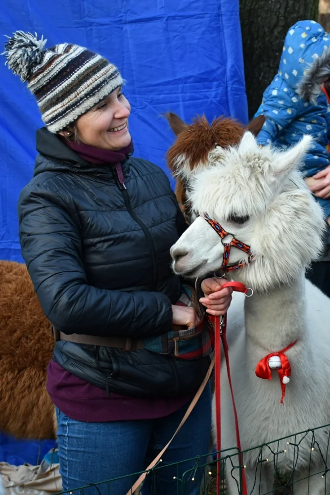 Świąteczne Kochłowice 2.0 35
