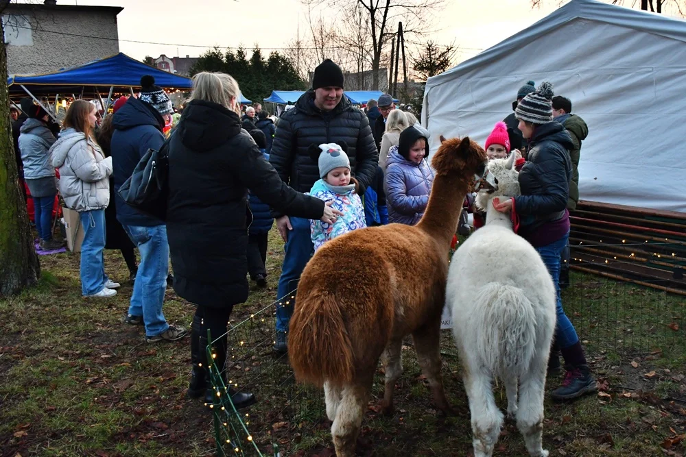 Świąteczne Kochłowice 2.0 46