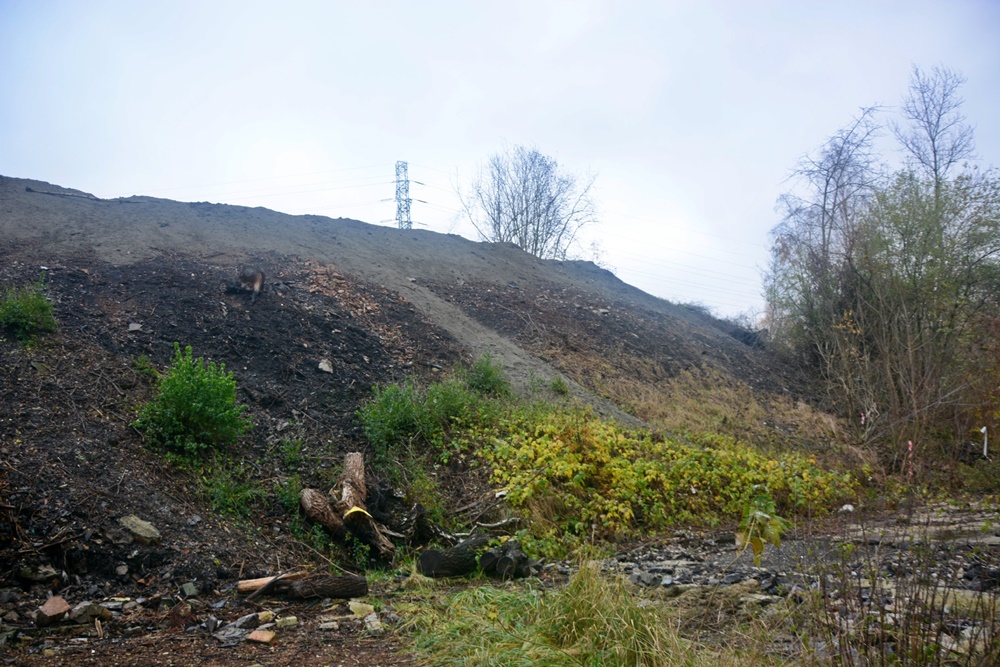 Płonąca hałda w Rudzie Śląskiej 8