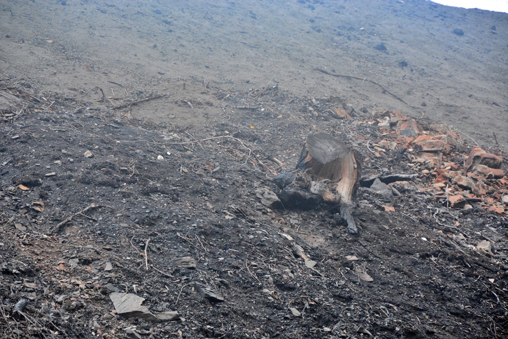 Płonąca hałda w Rudzie Śląskiej 10
