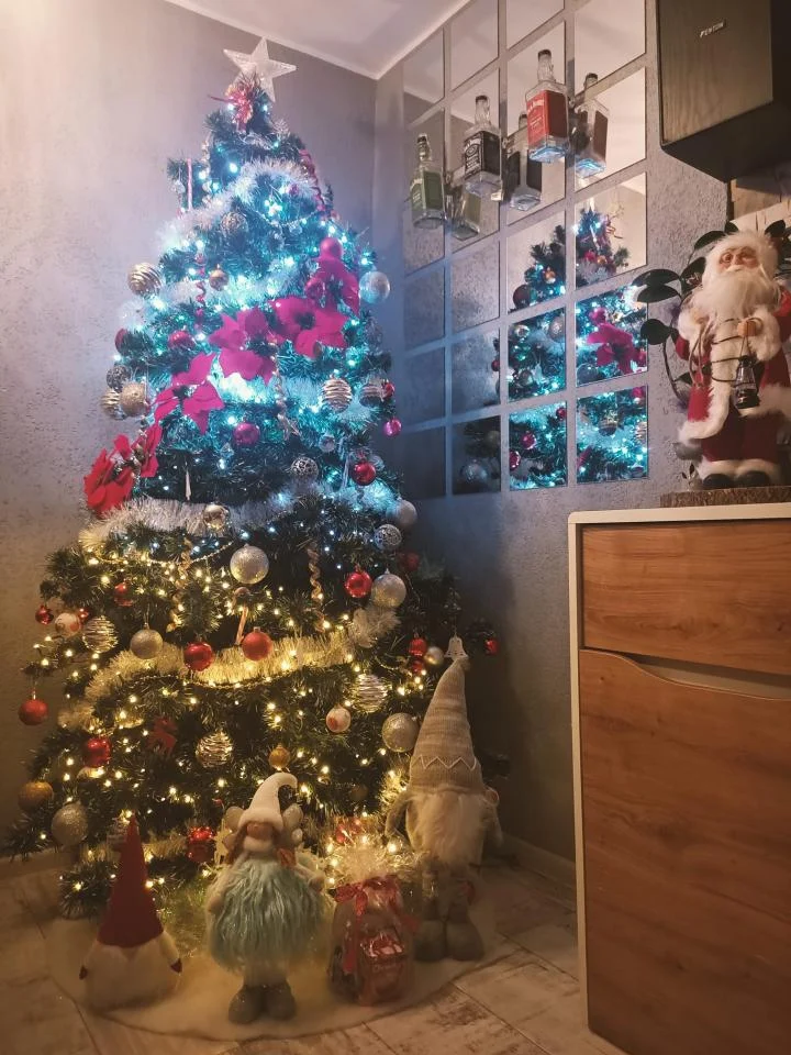 Bożonarodzeniowe drzewka naszych czytelników 1