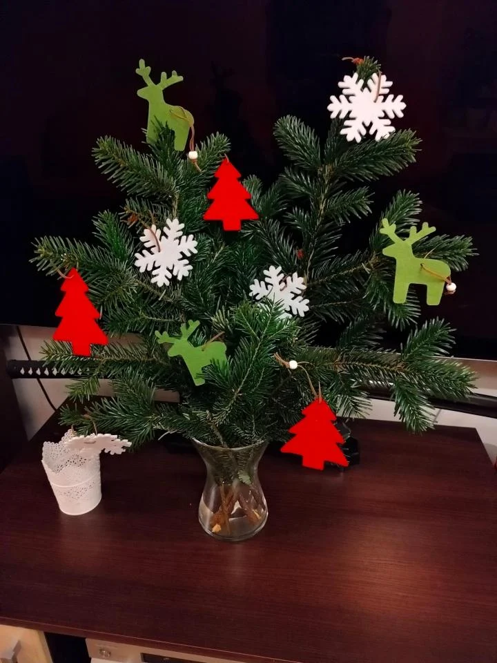 Bożonarodzeniowe drzewka naszych czytelników 3