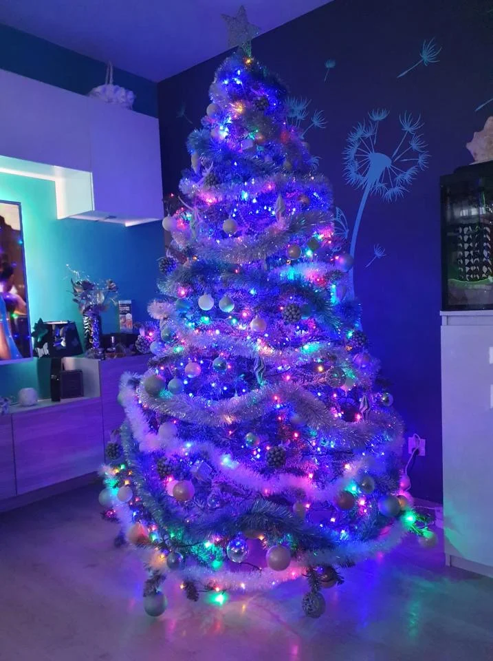 Bożonarodzeniowe drzewka naszych czytelników 7