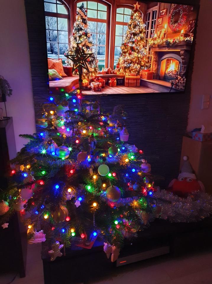 Bożonarodzeniowe drzewka naszych czytelników 9