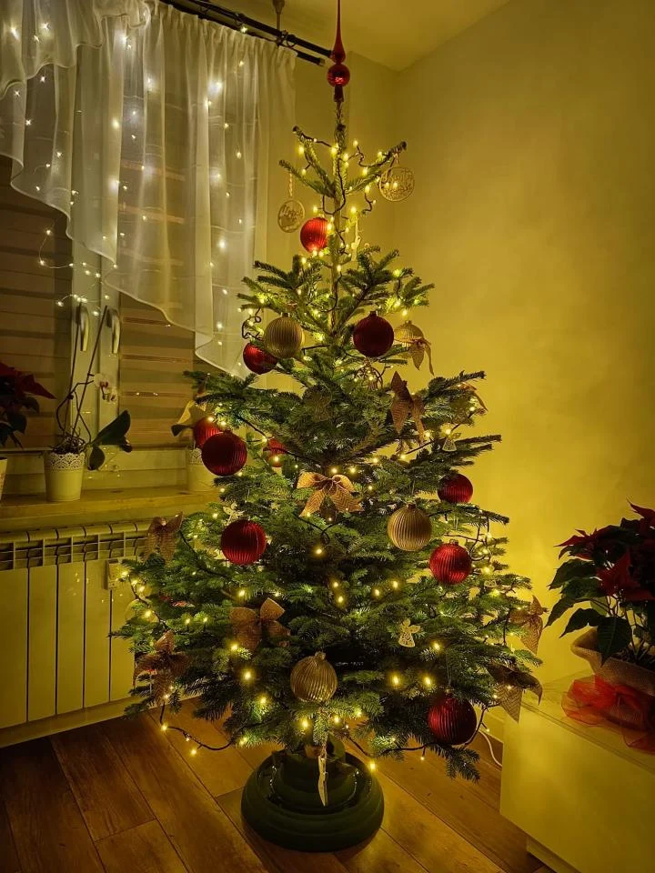 Bożonarodzeniowe drzewka naszych czytelników 10