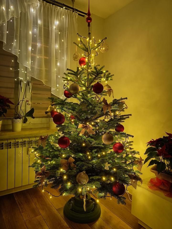 Bożonarodzeniowe drzewka naszych czytelników 10