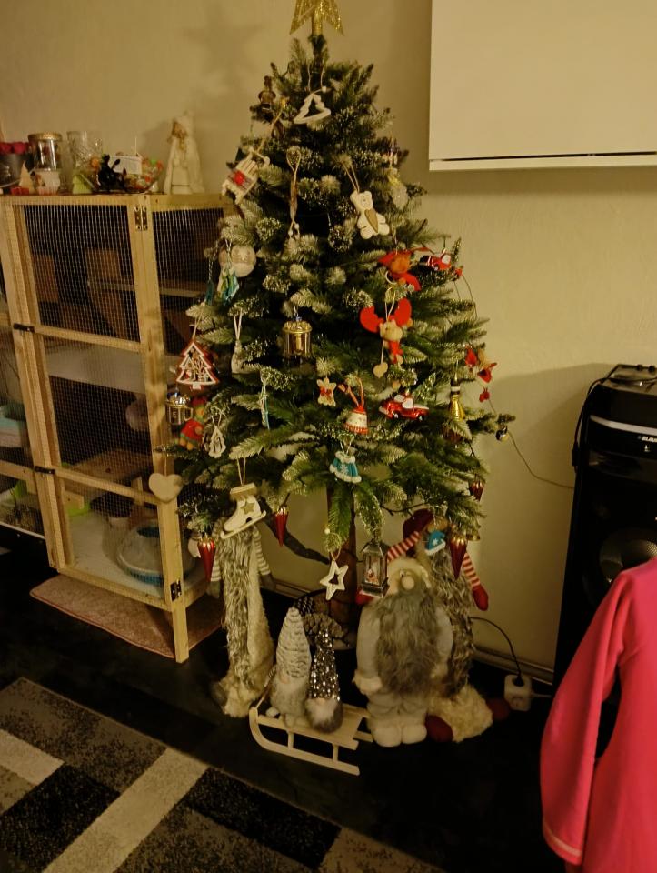 Bożonarodzeniowe drzewka naszych czytelników 11