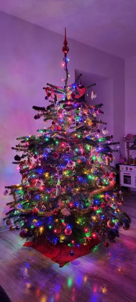 Bożonarodzeniowe drzewka naszych czytelników 12