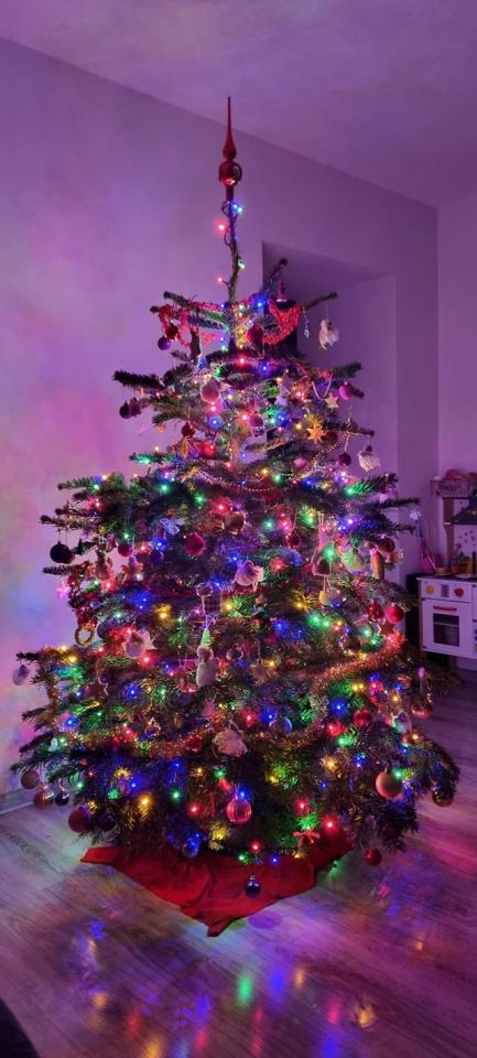 Bożonarodzeniowe drzewka naszych czytelników 12