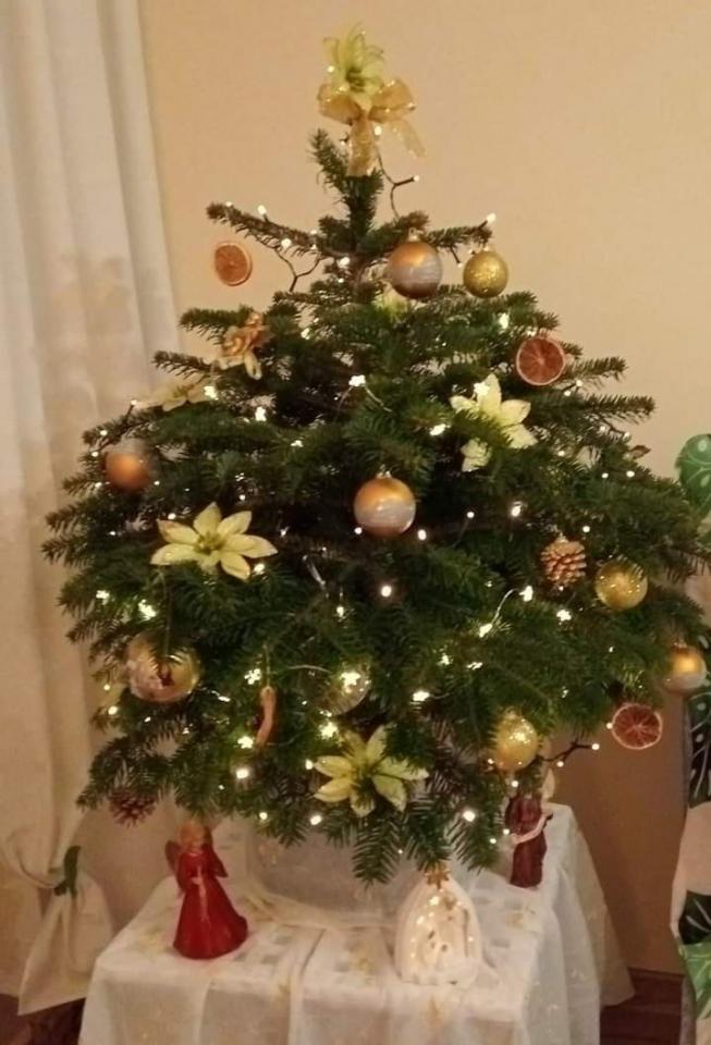 Bożonarodzeniowe drzewka naszych czytelników 17