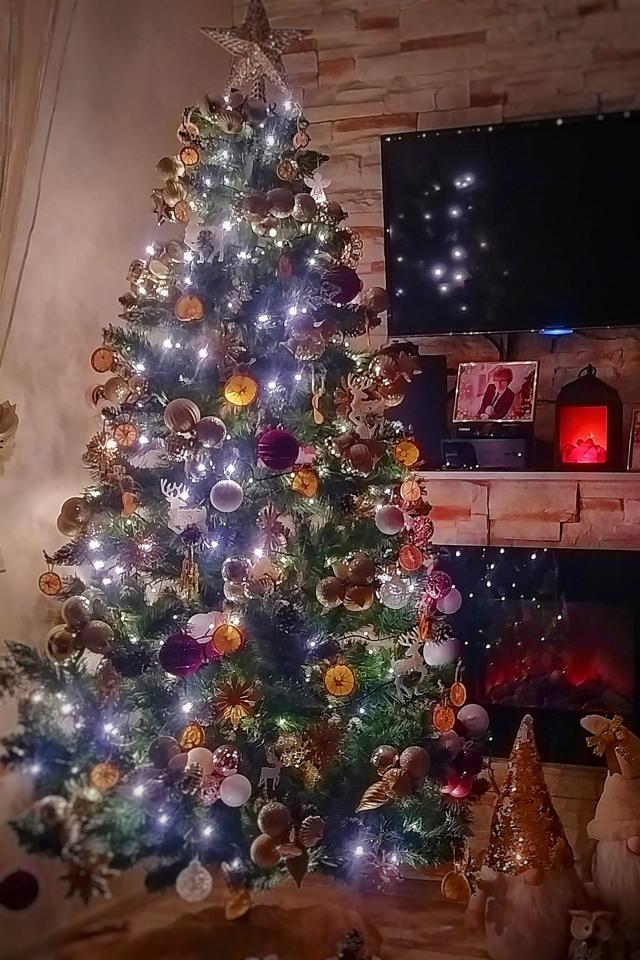 Bożonarodzeniowe drzewka naszych czytelników 19