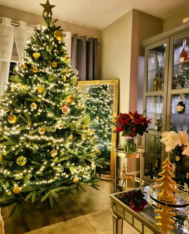 Tradycyjnie już jak co roku na Facebooku RudaSlaska.com.pl poprosiliśmy naszych czytelników, aby wysłali nam zdjęcia swoich choinek bożonarodzeniowych. Odzew był bardzo pozytywny. 22