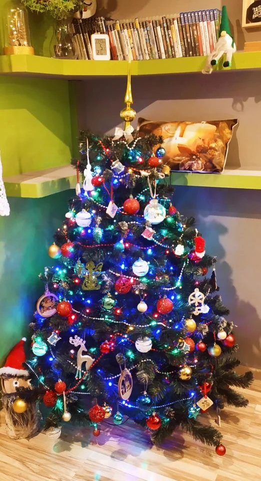 Tradycyjnie już jak co roku na Facebooku RudaSlaska.com.pl poprosiliśmy naszych czytelników, aby wysłali nam zdjęcia swoich choinek bożonarodzeniowych. Odzew był bardzo pozytywny. 23