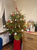 Tradycyjnie już jak co roku na Facebooku RudaSlaska.com.pl poprosiliśmy naszych czytelników, aby wysłali nam zdjęcia swoich choinek bożonarodzeniowych. Odzew był bardzo pozytywny. 25