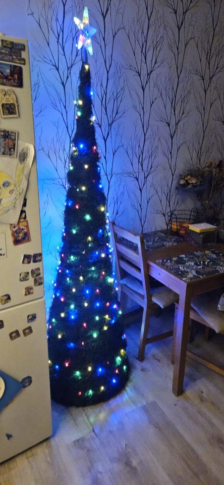 Tradycyjnie już jak co roku na Facebooku RudaSlaska.com.pl poprosiliśmy naszych czytelników, aby wysłali nam zdjęcia swoich choinek bożonarodzeniowych. Odzew był bardzo pozytywny. 30