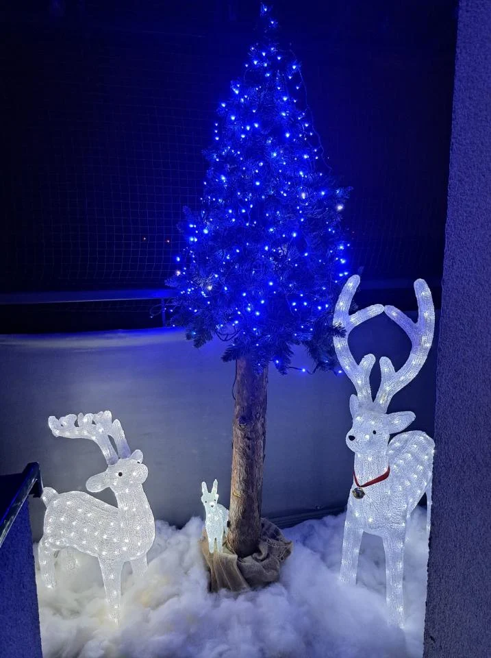 Tradycyjnie już jak co roku na Facebooku RudaSlaska.com.pl poprosiliśmy naszych czytelników, aby wysłali nam zdjęcia swoich choinek bożonarodzeniowych. Odzew był bardzo pozytywny. 31