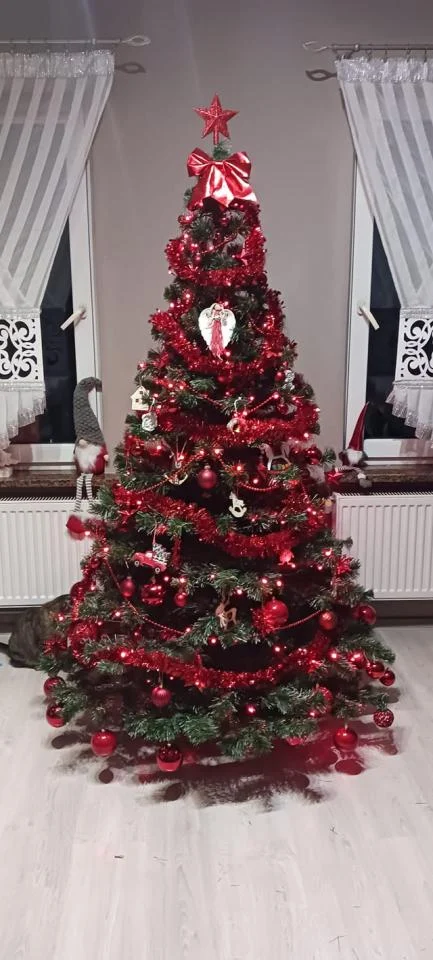 Tradycyjnie już jak co roku na Facebooku RudaSlaska.com.pl poprosiliśmy naszych czytelników, aby wysłali nam zdjęcia swoich choinek bożonarodzeniowych. Odzew był bardzo pozytywny. 35