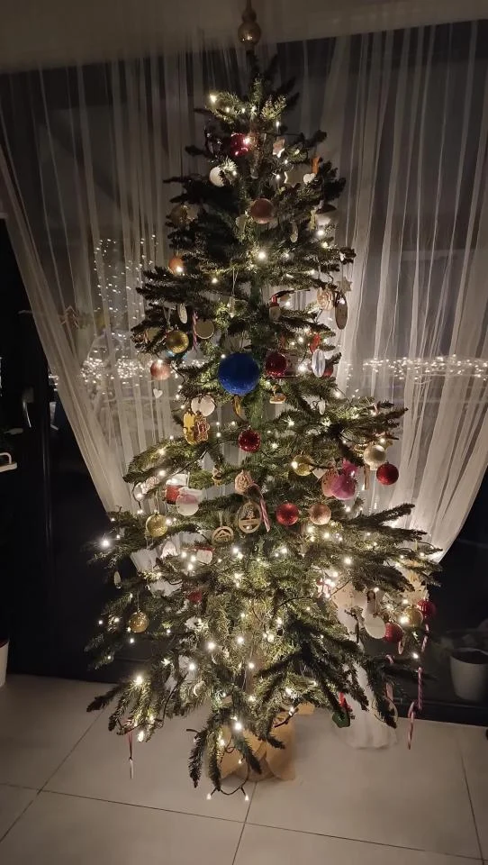 Tradycyjnie już jak co roku na Facebooku RudaSlaska.com.pl poprosiliśmy naszych czytelników, aby wysłali nam zdjęcia swoich choinek bożonarodzeniowych. Odzew był bardzo pozytywny. 36