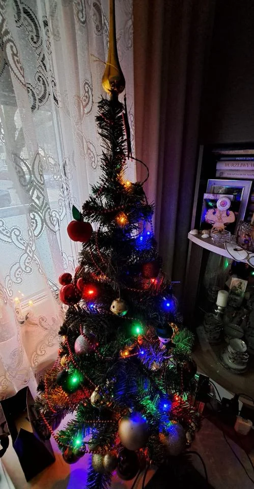 Tradycyjnie już jak co roku na Facebooku RudaSlaska.com.pl poprosiliśmy naszych czytelników, aby wysłali nam zdjęcia swoich choinek bożonarodzeniowych. Odzew był bardzo pozytywny. 37