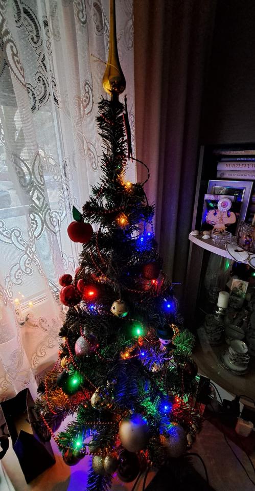 Tradycyjnie już jak co roku na Facebooku RudaSlaska.com.pl poprosiliśmy naszych czytelników, aby wysłali nam zdjęcia swoich choinek bożonarodzeniowych. Odzew był bardzo pozytywny. 37