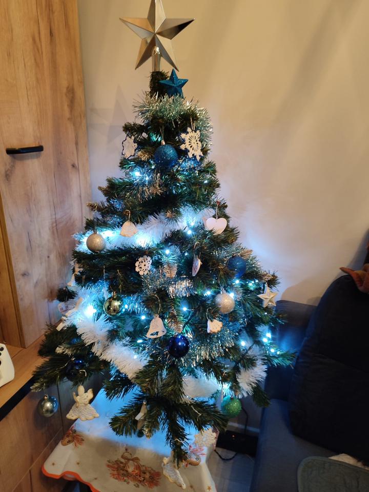 Tradycyjnie już jak co roku na Facebooku RudaSlaska.com.pl poprosiliśmy naszych czytelników, aby wysłali nam zdjęcia swoich choinek bożonarodzeniowych. Odzew był bardzo pozytywny. 38