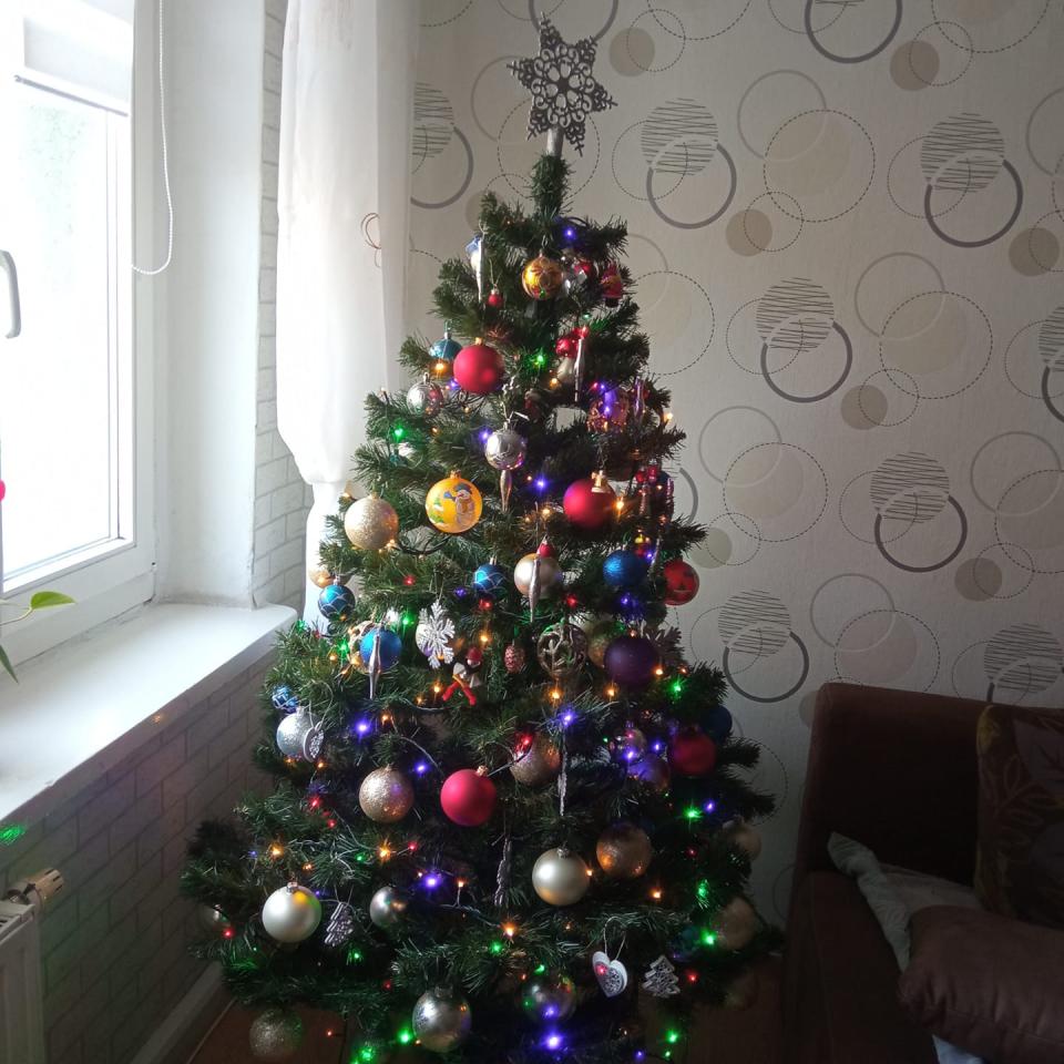 Tradycyjnie już jak co roku na Facebooku RudaSlaska.com.pl poprosiliśmy naszych czytelników, aby wysłali nam zdjęcia swoich choinek bożonarodzeniowych. Odzew był bardzo pozytywny. 39