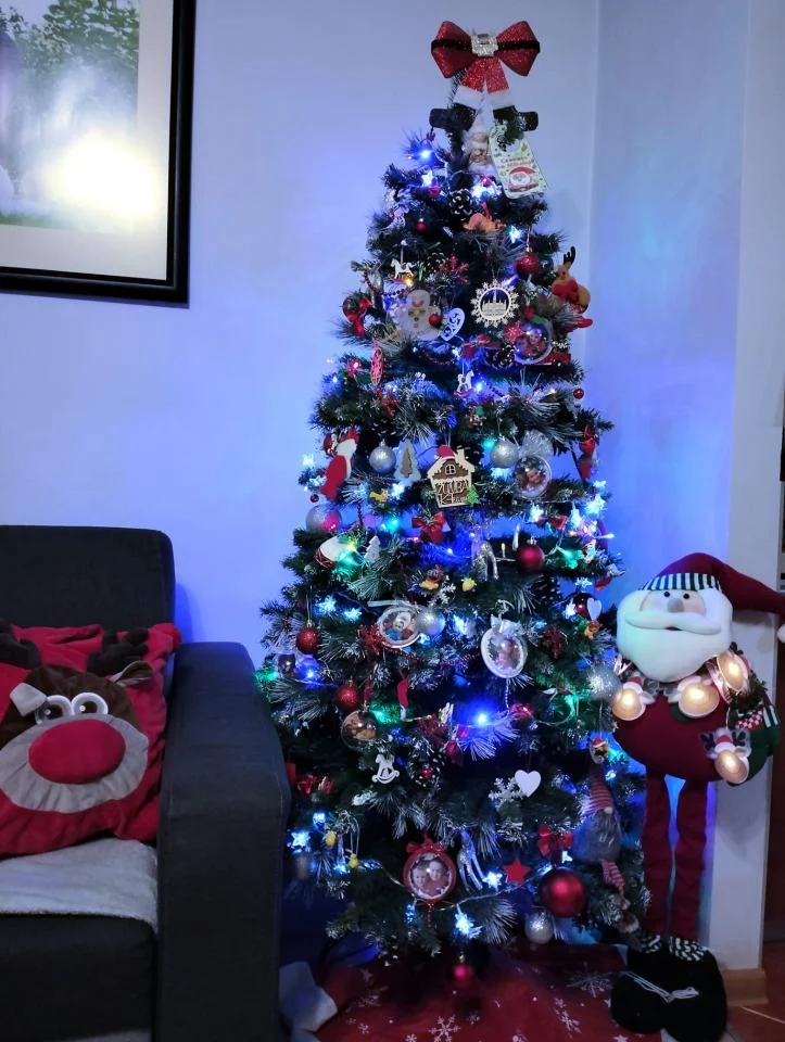 Tradycyjnie już jak co roku na Facebooku RudaSlaska.com.pl poprosiliśmy naszych czytelników, aby wysłali nam zdjęcia swoich choinek bożonarodzeniowych. Odzew był bardzo pozytywny. 40