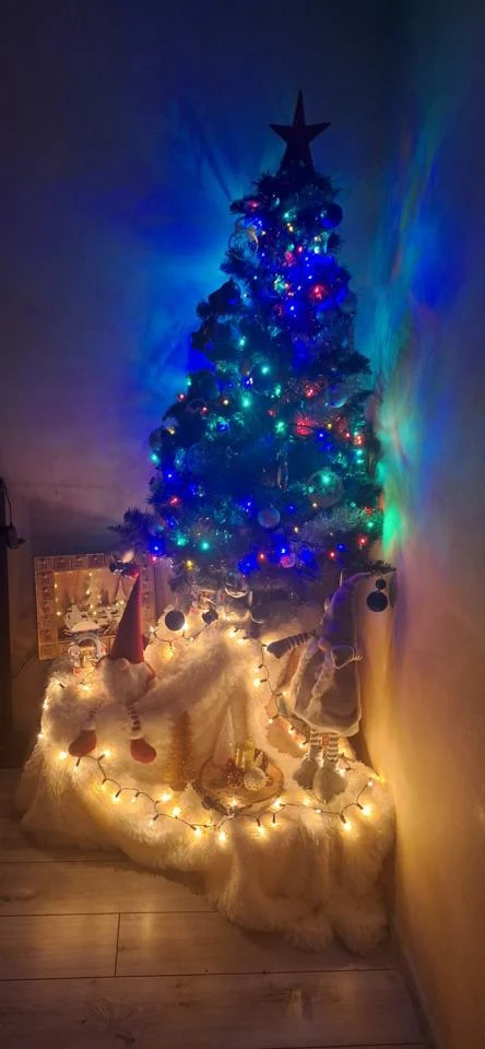 Bożonarodzeniowe drzewka naszych czytelników 42