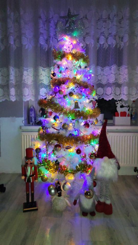 Bożonarodzeniowe drzewka naszych czytelników 44