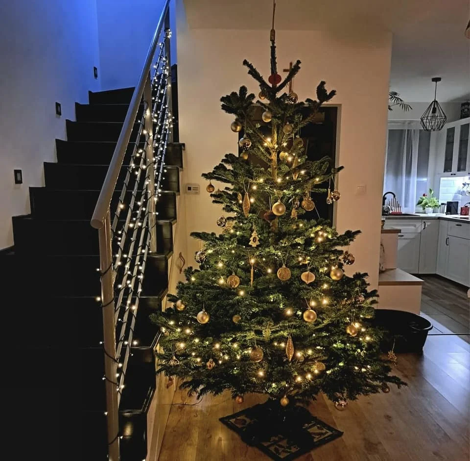 Bożonarodzeniowe drzewka naszych czytelników 45