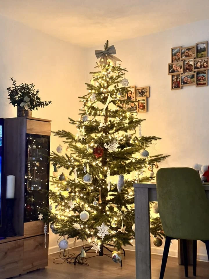 Bożonarodzeniowe drzewka naszych czytelników 47