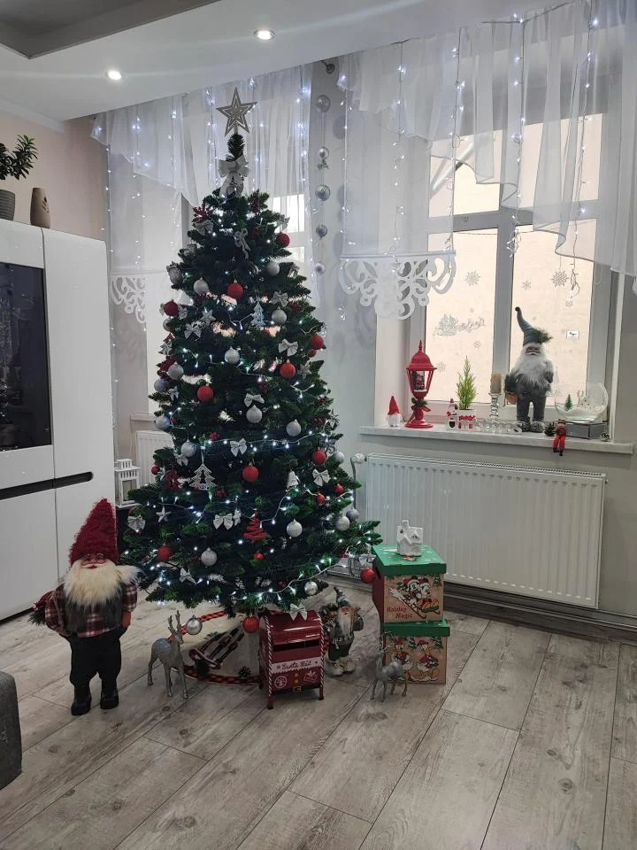 Bożonarodzeniowe drzewka naszych czytelników 49