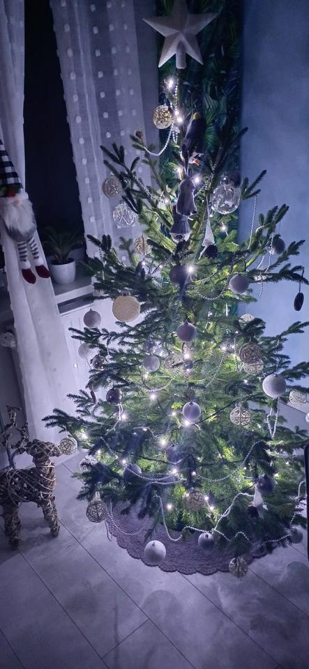 Bożonarodzeniowe drzewka naszych czytelników 50