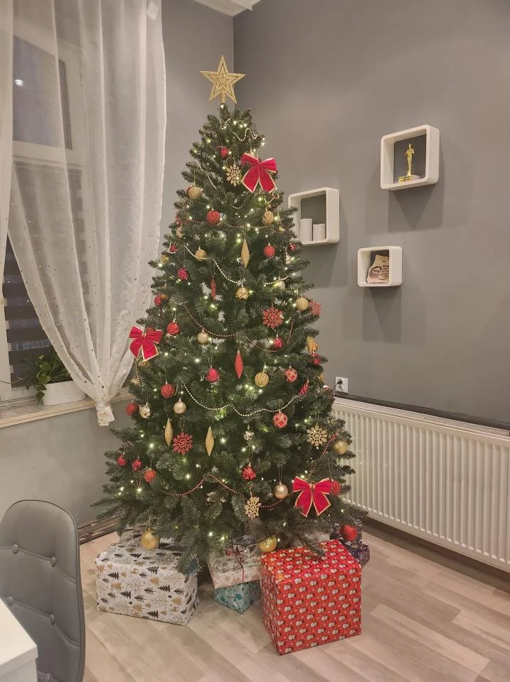 Bożonarodzeniowe drzewka naszych czytelników 51