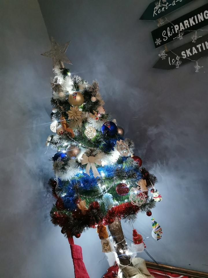 Bożonarodzeniowe drzewka naszych czytelników 52