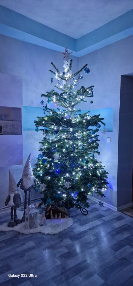 Bożonarodzeniowe drzewka naszych czytelników 53