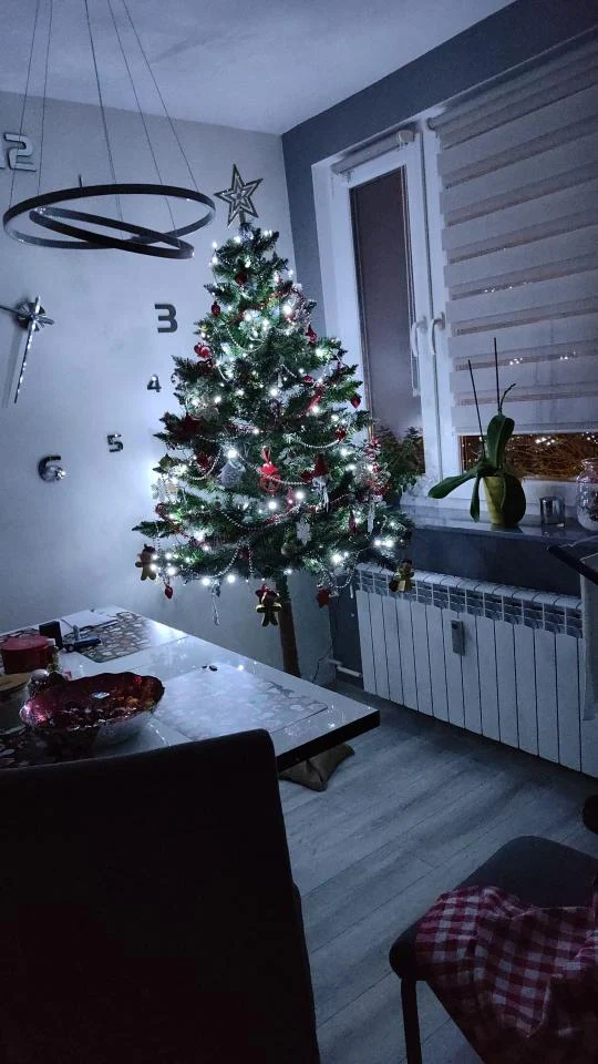 Bożonarodzeniowe drzewka naszych czytelników 55