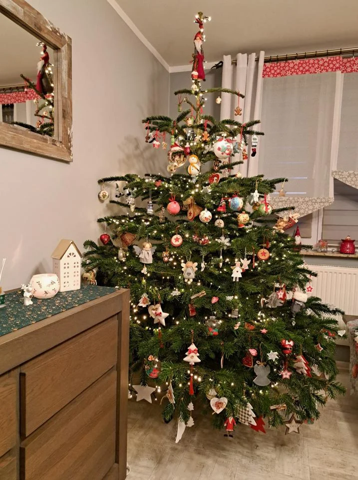 Bożonarodzeniowe drzewka naszych czytelników 59