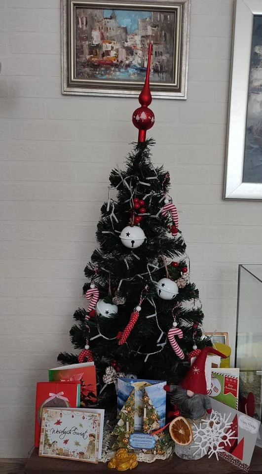 Bożonarodzeniowe drzewka naszych czytelników 61