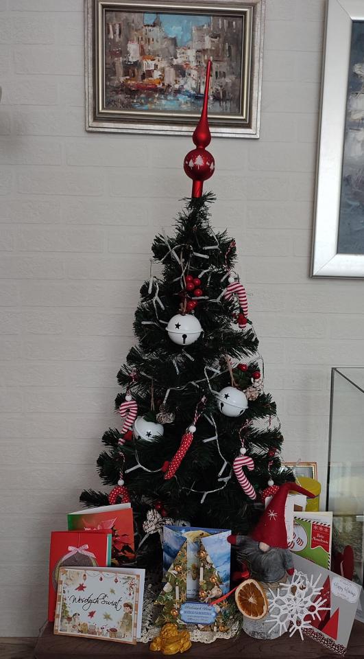 Bożonarodzeniowe drzewka naszych czytelników 61