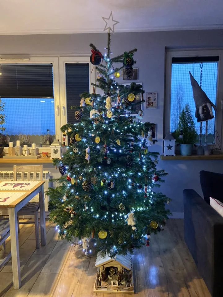 Bożonarodzeniowe drzewka naszych czytelników 62