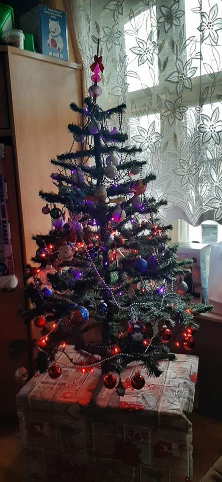 Bożonarodzeniowe drzewka naszych czytelników 64